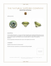 1.16 Ct. Yellowish Green Sapphire from Montana Appraisal