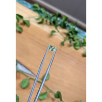 1.16 Ct. Green Sapphire from Montana Life Style