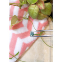 1.18 Ct. Greenish Blue Sapphire from Montana Life Style