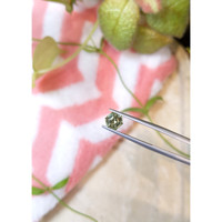 1.23 Ct. Green Sapphire from Montana Life Style