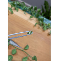 1.23 Ct. Green Sapphire from Montana Life Style