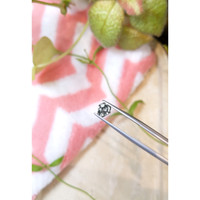 1.24 Ct. Bluish Grey Sapphire from Montana Life Style