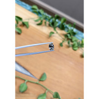 1.30 Ct. Purple Sapphire from Montana Life Style