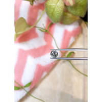 1.32 Ct. Green Sapphire from Montana Life Style