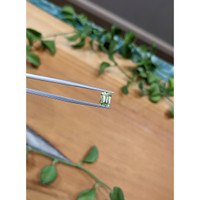 1.34 Ct. Green Sapphire from Montana Life Style