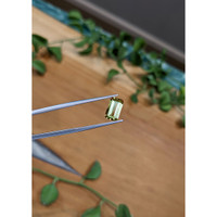 2.59 Ct. Yellowish Green Sapphire from Montana Life Style