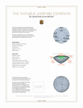 Jewelry 3 D Scan Report