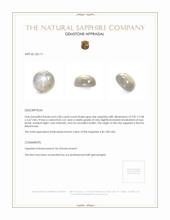 6.00 Ct. Grey Star Sapphire from Burma (Myanmar) Appraisal