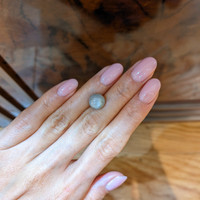 6.00 Ct. Grey Star Sapphire from Burma (Myanmar) Life Style