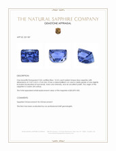 10.55 Ct. Blue Sapphire from Ceylon (Sri Lanka) Appraisal