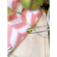 0.92 Ct. Bi Color Sapphire from Montana Life Style