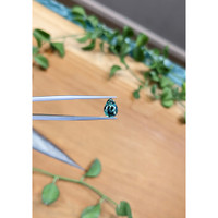 1.83 Ct. Greenish Blue Sapphire from Montana Life Style