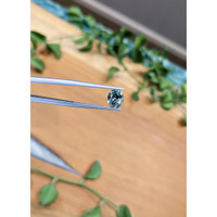 1.92 Ct. Bluish Green Sapphire from Montana Life Style