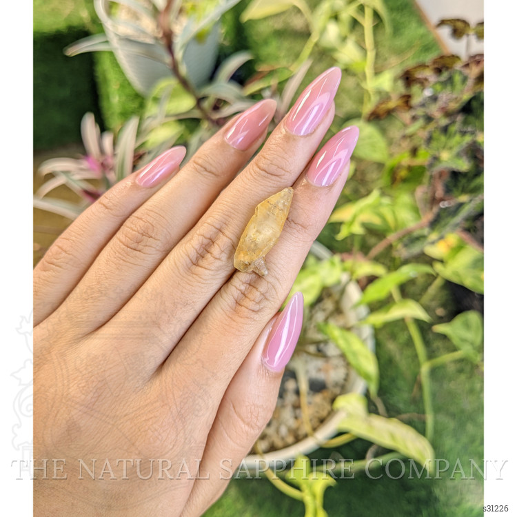 13.84 Ct. Yellow Sapphire Crystal from Ceylon (Sri Lanka)