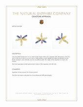 16.14 Ct. Multi Color Rough Sapphire from Ceylon (Sri Lanka) Appraisal