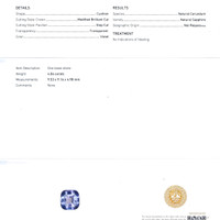 4.06 Ct. Purple Sapphire from Ceylon (Sri Lanka) Scan Report