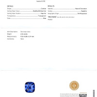 4.54 Ct. Blue Sapphire from Ceylon (Sri Lanka) Scan Report