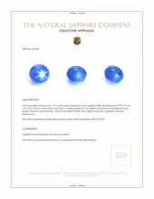7.19 Ct. Blue Star Sapphire from Burma (Myanmar) Appraisal