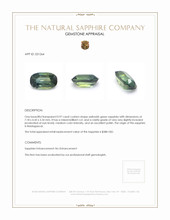 0.97 Ct. Yellowish Green Sapphire from Madagascar Appraisal