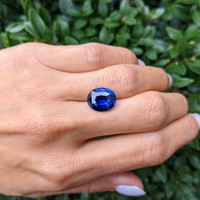 7.08 Ct. Blue Sapphire from Ceylon (Sri Lanka) Life Style