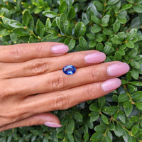 3.11 Ct. Blue Sapphire from Ceylon (Sri Lanka) Life Style