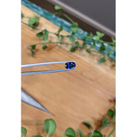 2.15 Ct. Blue Sapphire from Ceylon (Sri Lanka) Life Style