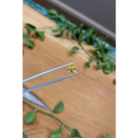 1.09 Ct. Yellow Sapphire from Ceylon (Sri Lanka) Life Style