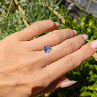 2.55 Ct. Blue Star Sapphire from Burma (Myanmar) Life Style
