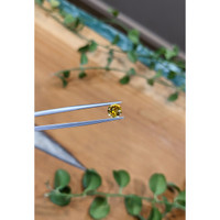 1.18 Ct. Orangish Yellow Sapphire from Ceylon (Sri Lanka) Life Style