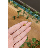 1.18 Ct. Orangish Yellow Sapphire from Ceylon (Sri Lanka) Life Style