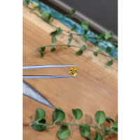 1.15 Ct. Orangish Yellow Sapphire from Ceylon (Sri Lanka) Life Style