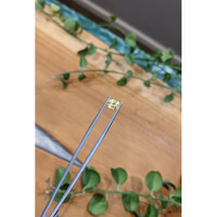 1.33 Ct. Yellow Sapphire from Ceylon (Sri Lanka) Life Style