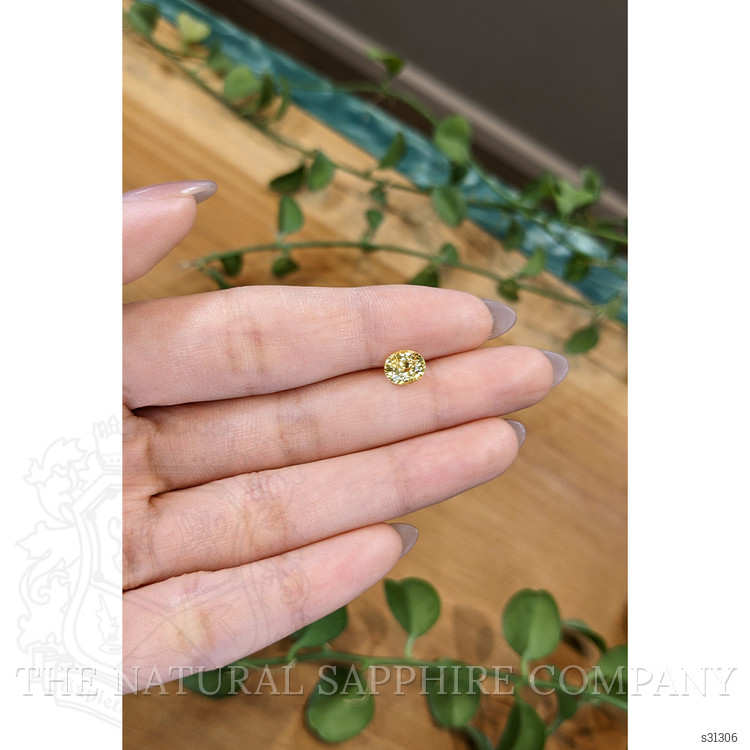 1.33 Ct. Yellow Sapphire from Ceylon (Sri Lanka)