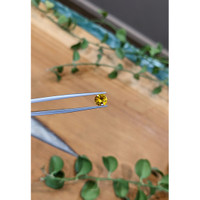 1.15 Ct. Yellowish Orange Sapphire from Ceylon (Sri Lanka) Life Style