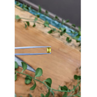 0.98 Ct. Yellow Sapphire from Ceylon (Sri Lanka) Life Style