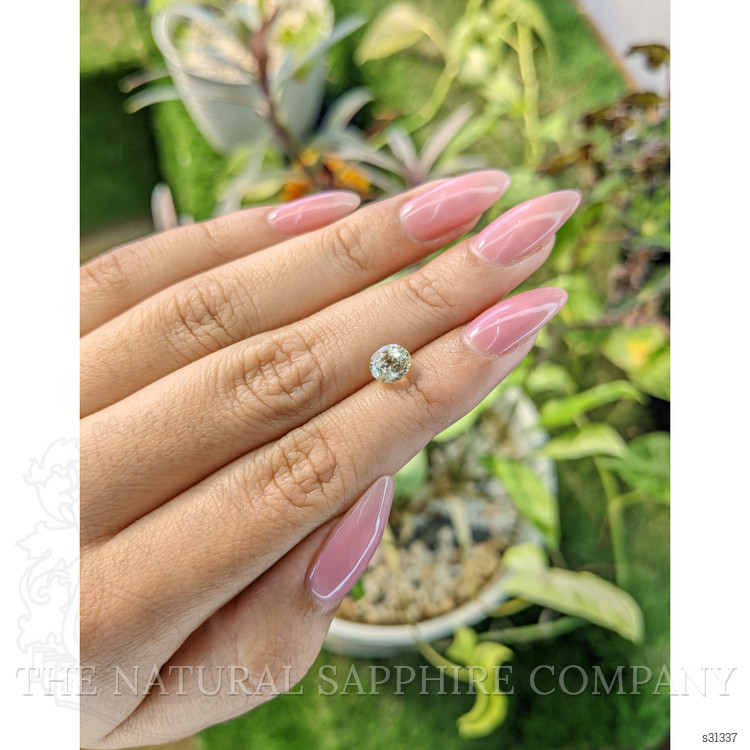 1.72 Ct. Yellow Sapphire from Ceylon (Sri Lanka)