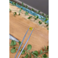 0.95 Ct. Orangish Yellow Sapphire from Ceylon (Sri Lanka) Life Style