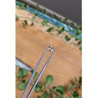 1.17 Ct. Yellowish Brown Sapphire from Ceylon (Sri Lanka) Life Style