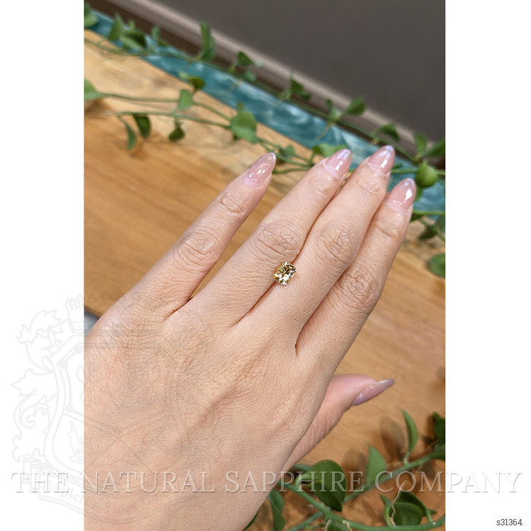 1.17 Ct. Yellowish Brown Sapphire from Ceylon (Sri Lanka)