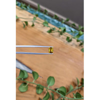 1.18 Ct. Orangish Yellow Sapphire from Ceylon (Sri Lanka) Life Style