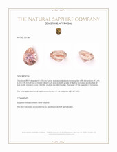 Jewelry Appraisal