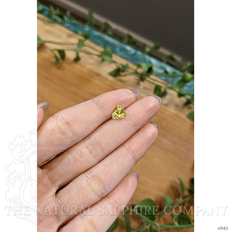 1.50 Ct. Yellow Sapphire from Ceylon (Sri Lanka)