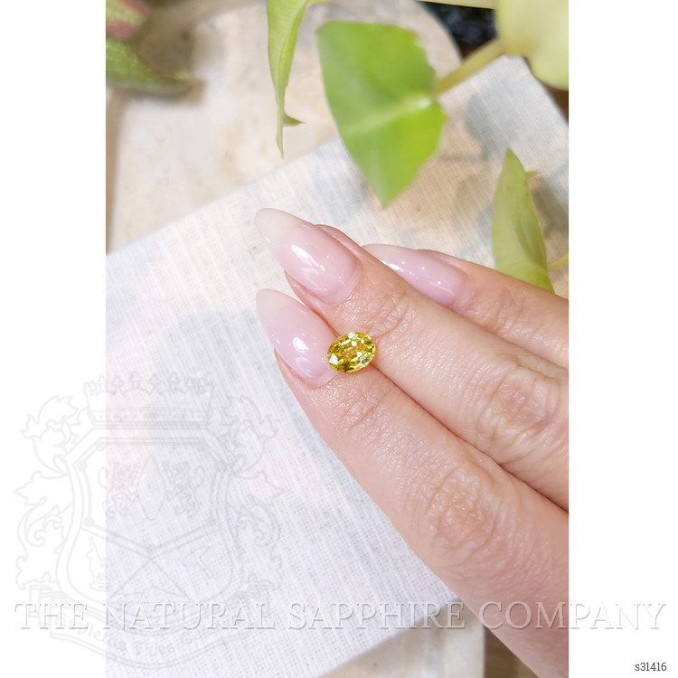 1.57 Ct. Yellow Sapphire from Ceylon (Sri Lanka)