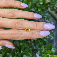 1.21 Ct. Yellow Sapphire from Ceylon (Sri Lanka) Life Style