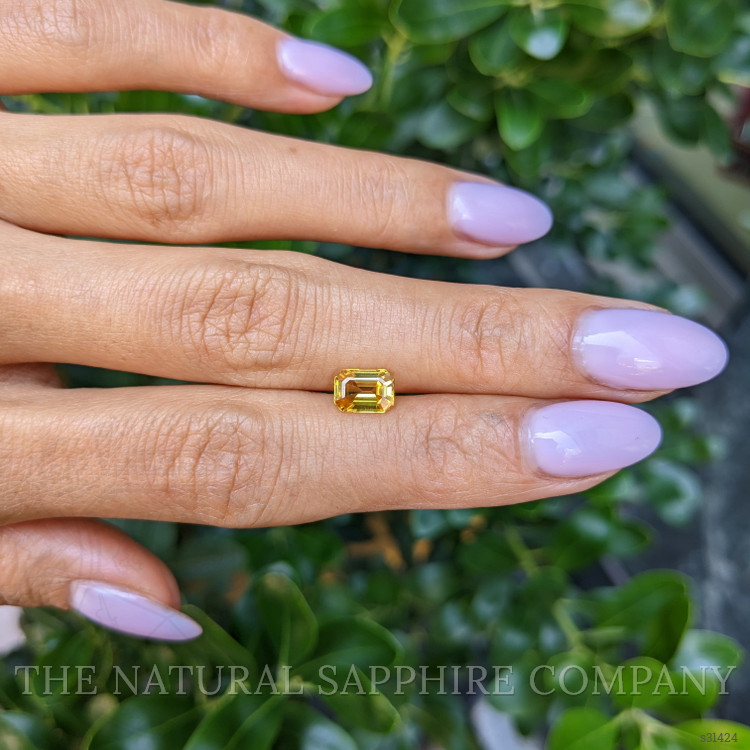 1.21 Ct. Yellow Sapphire from Ceylon (Sri Lanka)