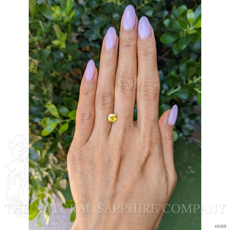 1.60 Ct. Yellow Sapphire from Ceylon (Sri Lanka)