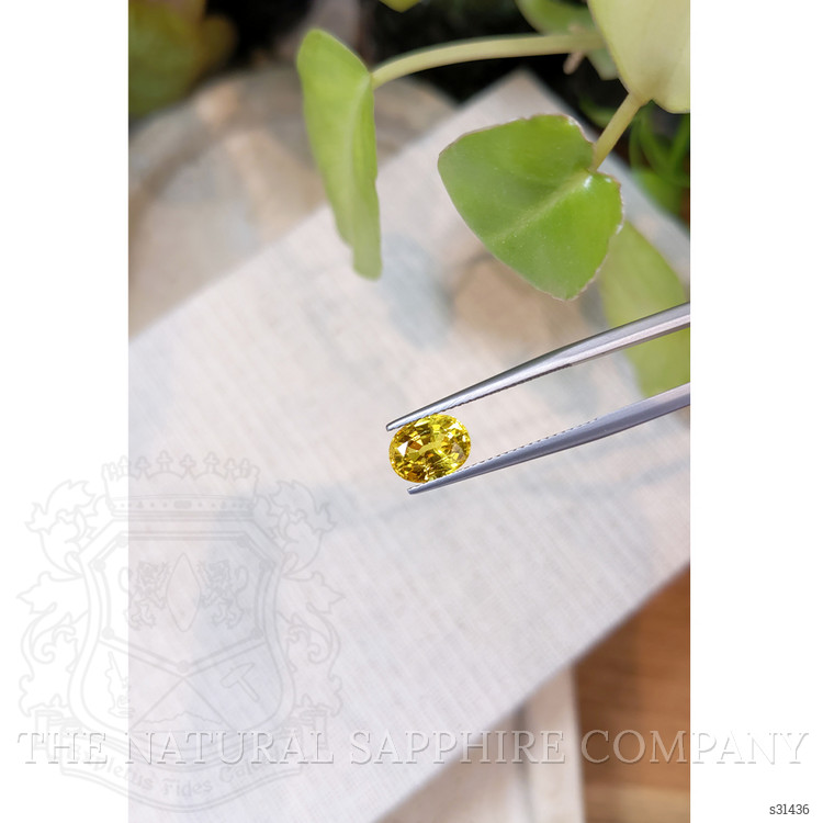 2.33 Ct. Yellow Sapphire from Ceylon (Sri Lanka)