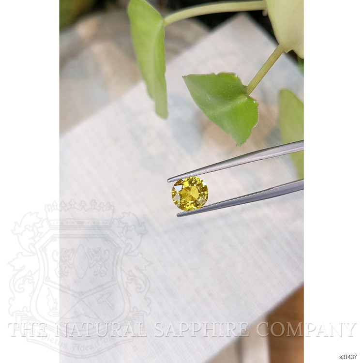 2.06 Ct. Yellow Sapphire from Ceylon (Sri Lanka)