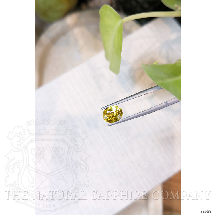 2.50 Ct. Yellow Sapphire from Ceylon (Sri Lanka)