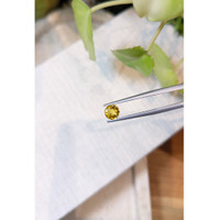 0.92 Ct. Yellow Sapphire from Ceylon (Sri Lanka) Life Style